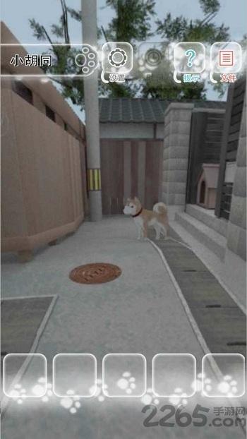 迷途猫手游下载,迷途猫,解谜游戏,休闲游戏